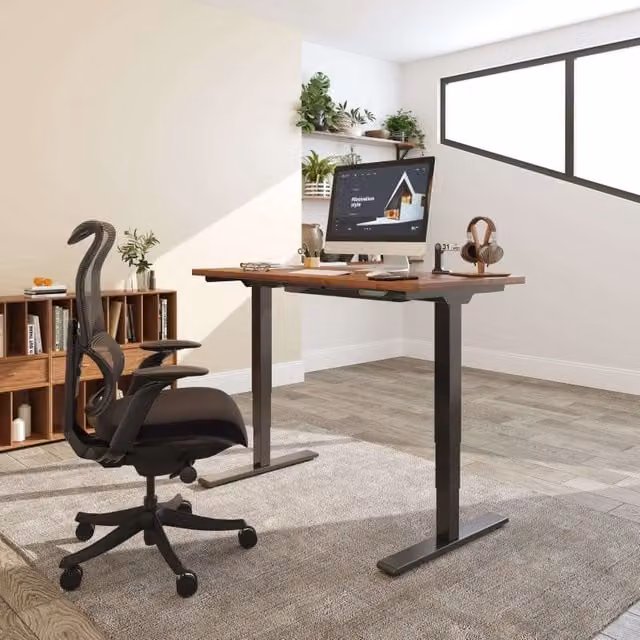 FlexiSpot E5 Electric Height Adjustable Standing Desk for Home Office in Black