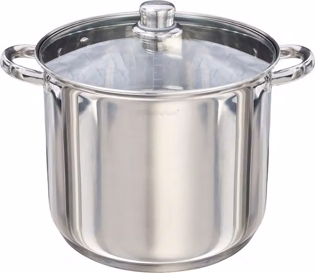 Buckingham Stainless Steel Deep Stock Pot with Glass Lid, Silver, 11 l, Diameter: 26 cm