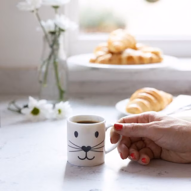 Kitchencraft Set of 6 White Porcelain Cat Face Espresso Cups