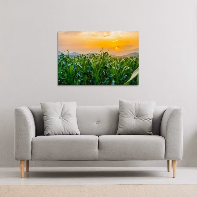 Benjamin Tate Design LTD Green Corn Field Landscape Canvas Print, W: 152 cm, H: 101 cm