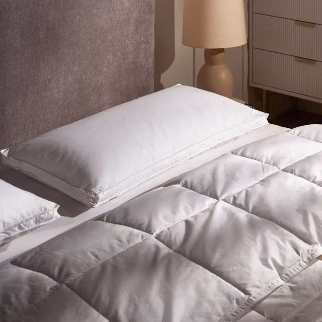 Wyld Haus White Cotton Duck Feather and Down Pillow, Medium, W/D/H: 80 x 40 x 40 cm