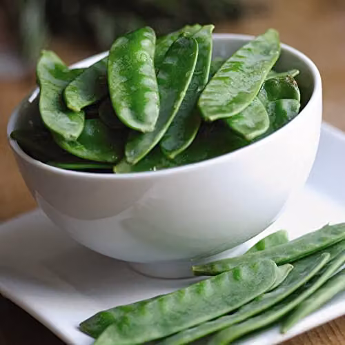 Thompson and Morgan Sweet Horizon Mangetout Snow Pea Seeds, 100 Seeds per Packet