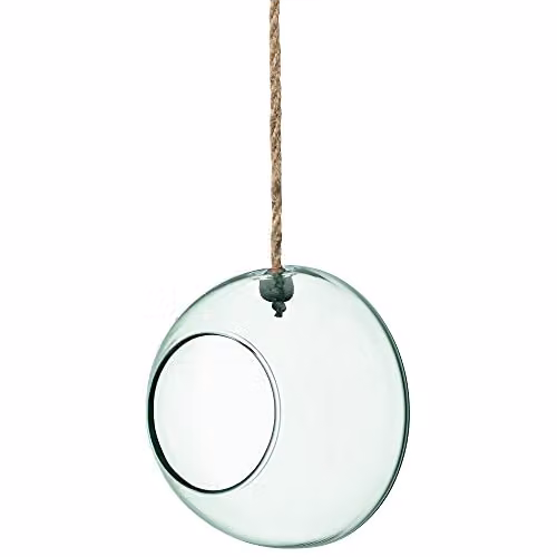 LSA Canopy Clear Glass Hanging Planter, 12cm
