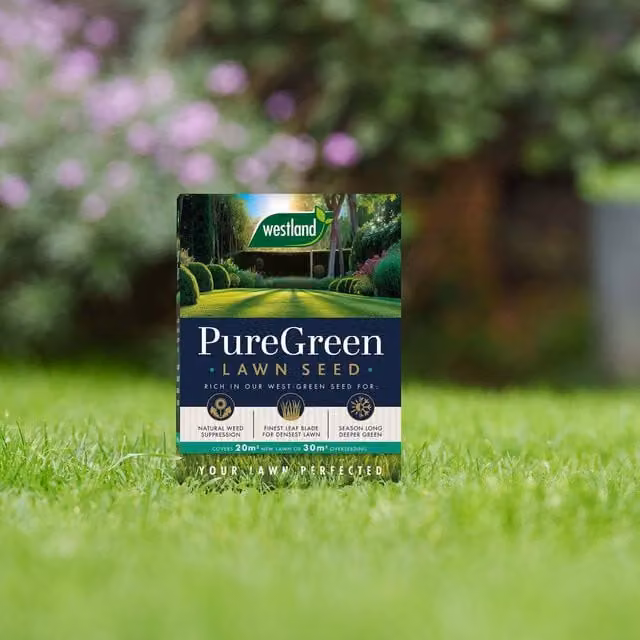 Westland PureGreen Pelleted Lawn Seed