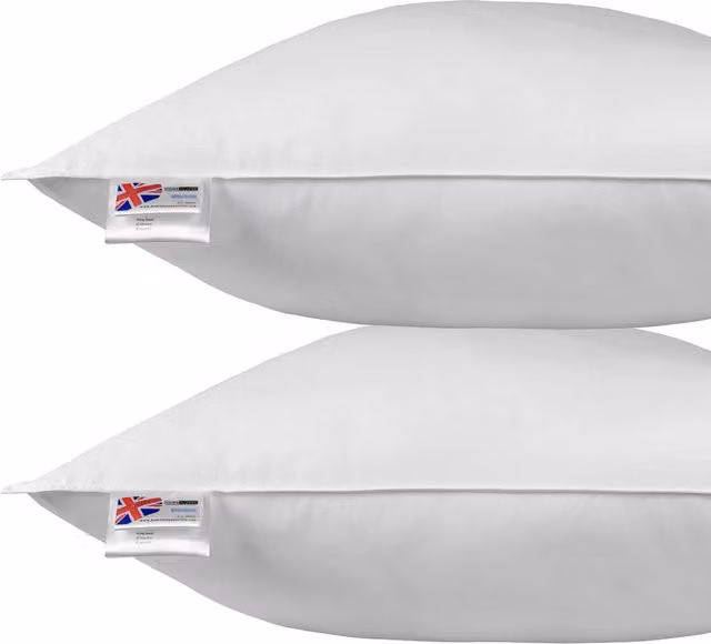 Homescapes Duck Feather and Down Euro Continental Square Pillow Pair, White, W/D/H: 80 x 80 x 80 cm