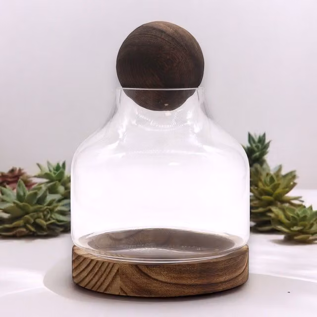 KDMD Medium Ball Top Terrarium on Dark Tung Wood in Brown