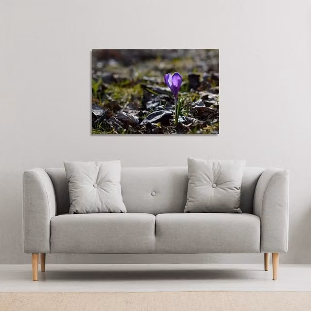 Benjamin Tate Design LTD Autumn Flower Bloom Nature Canvas Print, Purple, W: 127 cm, H: 101 cm