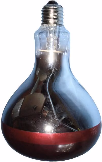 Intelec Hard Glass Infra-Red Heat Bulb in Red with E27 Fitting