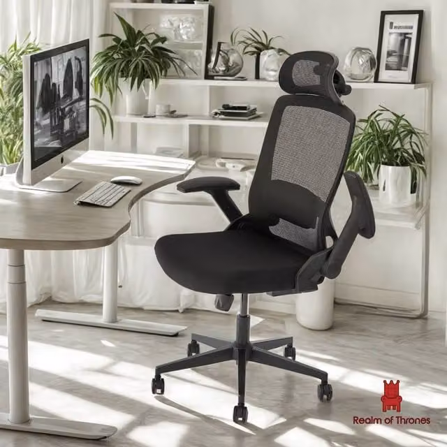 Realm of Thrones Black High-Back Mesh Office and Gaming Chair with 3D Headrest and Lumbar Support